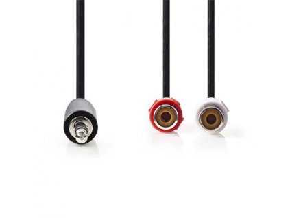 Nedis CAGB22250BK02 - Stereofonní Audio Kabel | 3,5mm Zástrčka - 2x RCA Zásuvka | 0,2 m | Černá barva