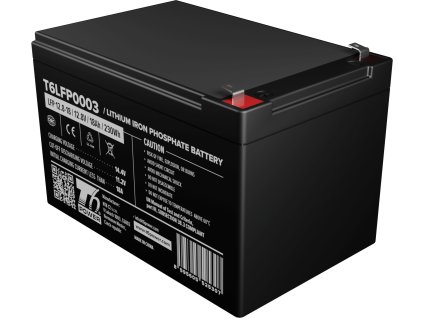 T6LFP0003 s