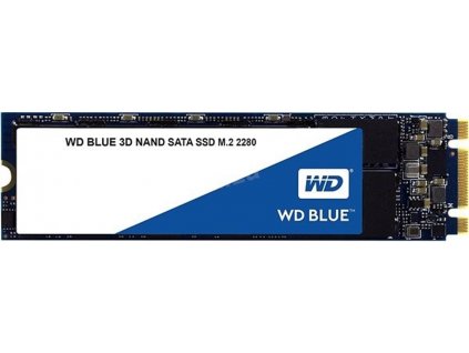WD Blue SA510/250 GB/SSD/M.2 SATA/5R WDS250G3B0B Western Digital