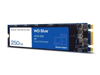 WD Blue SA510/1 TB/SSD/M.2 SATA/5R WDS100T3B0B Western Digital