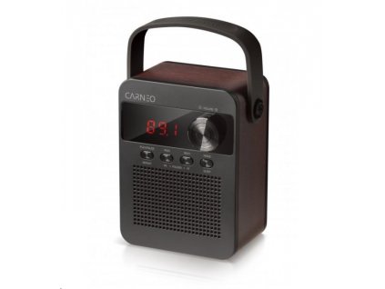 CARNEO F90 FM rádio, BT reproduktor, black/wood 8588007861890 Carneo