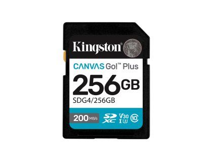 ktc sdg4 256gb s hr