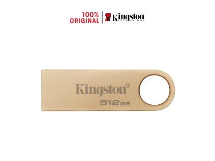 DTSE9G3 512GB