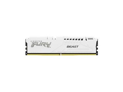 Kingston FURY Beast White/DDR5/32GB/5600MHz/CL40/1x32GB/White KF556C40BW-32