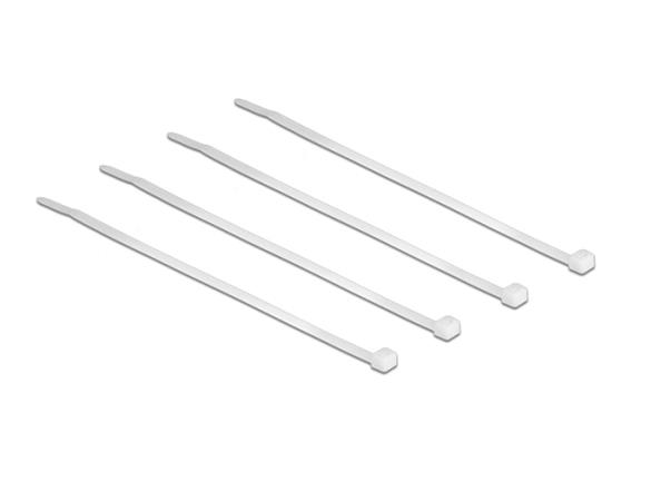 Delock Stahovací pásky transparentní D 100 x Š 2,5 mm 100 ks 18605 DeLock
