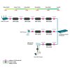 DPE 302GE application 1