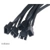 AK CBFA03 45 g02