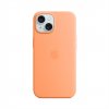 iPhone 15 Silicone Case with MagSafe - Orange Sorbet MT0W3ZM-A Apple