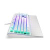 Endorfy herní klávesnice Omnis OWH Pudd.Kaihl BR RGB /USB/ brown switch / drátová / mechanická / US layout / bílá RGB EY5A035 SilentiumPC