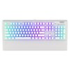 Endorfy herní klávesnice Omnis OWH Pudd.Kaihl BR RGB /USB/ brown switch / drátová / mechanická / US layout / bílá RGB EY5A035 SilentiumPC