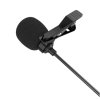 Mic