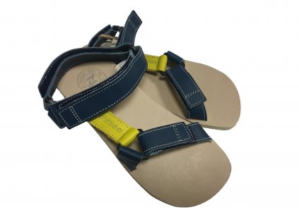 zeazoo olymp blue yellow