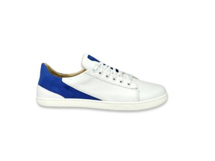antal magnifique blue