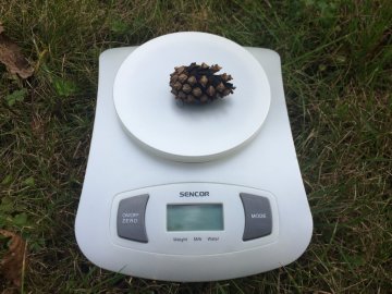 Sencor SKS 4001 WH