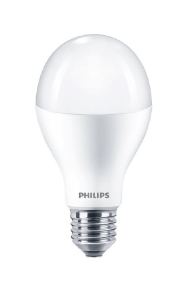 LED žárovka Philips, E27, 18,5W, A67, 2700K P701676