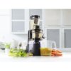 JS 8012 Slow juicer Catler Odšťavňovač
