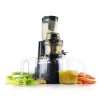JS 8012 Slow juicer Catler Odšťavňovač