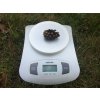 Sencor SKS 4001 WH