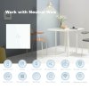 Chytrý WiFi Tuya Vypínač 1G
