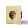 Smart Socket Wifi Gold 2