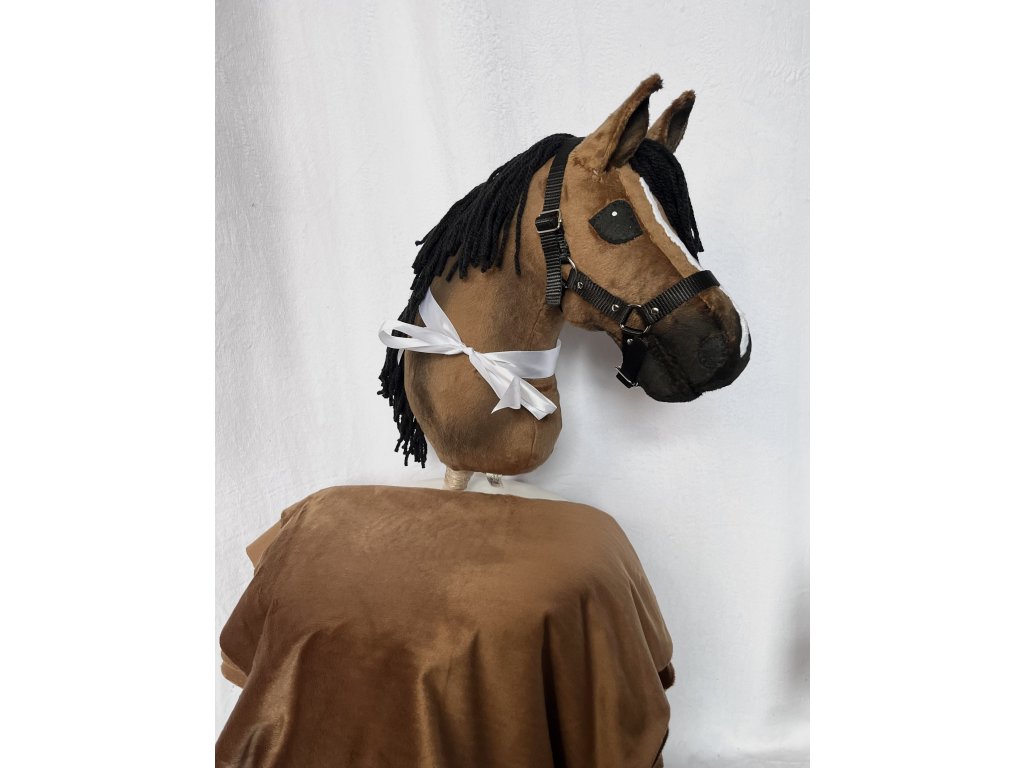 GERMAN HOLSTEINER PONY