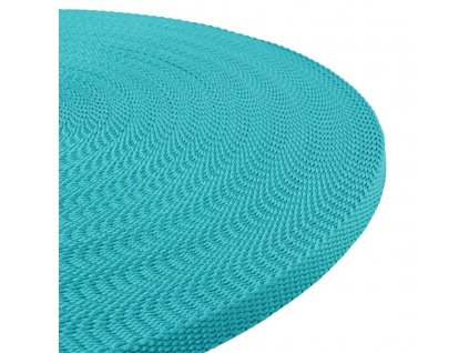 webbing teal 4324 l
