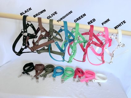 Adjustable HALTER + REINS (9 colours)
