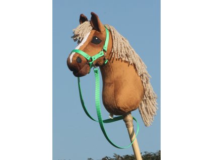 Tennessee Walking horse