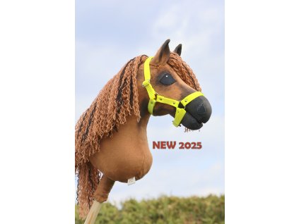 CONNEMARA PONY