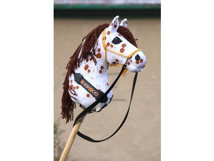 Appaloosa