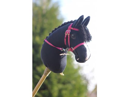 Černý drezůrní kůň - limitovaná edice