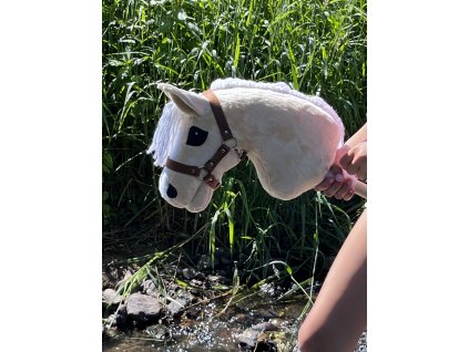 Hafling FOAL