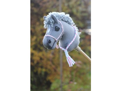 Grey foal