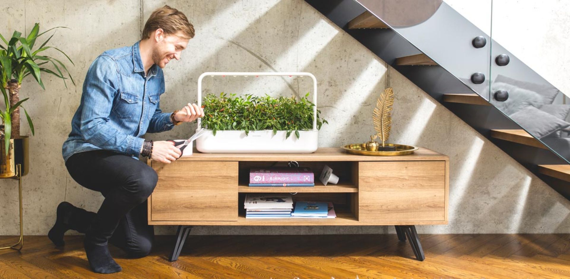 Ako vzniklo Click and Grow?