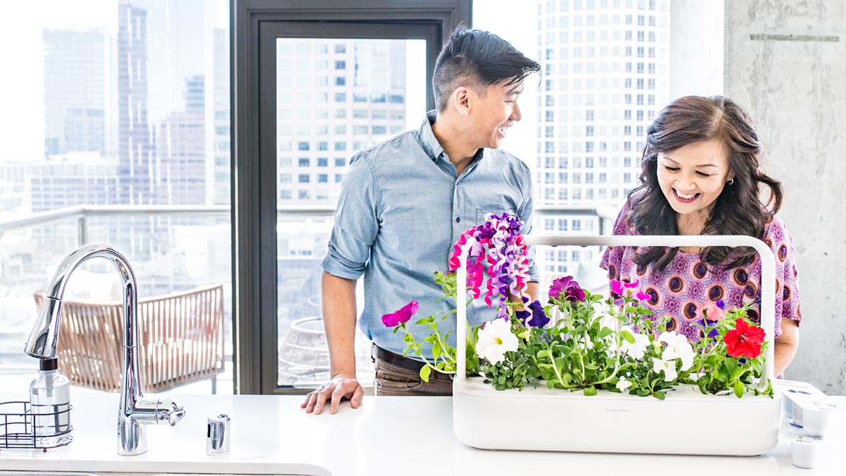 Ako začať pestovať inteligentne? Stačí vám dodržať 3 jednoduché kroky!