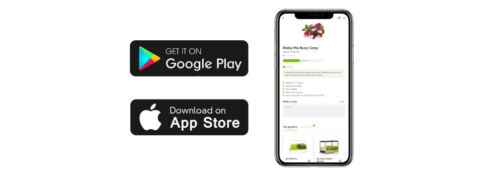 Smart aplikácia Click and Grow pre ešte jednoduhšie pestovanie
