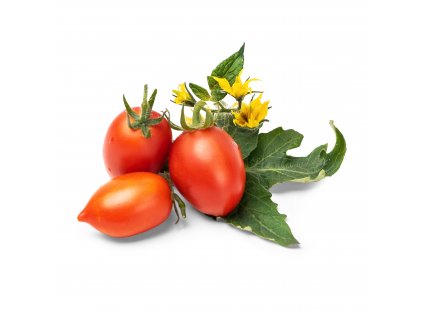 Mini red tomato (Mini tomate rouge)