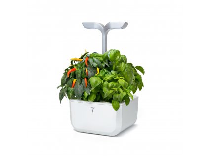 Véritable Exky® Smart Biela