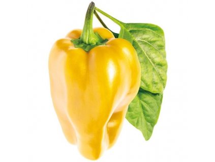sladka zlta paprika