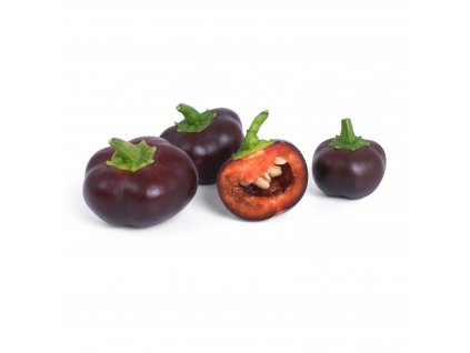 chocolate bell pepper (Mini poivron chocolat)