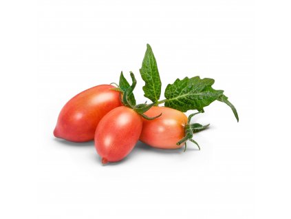 Mini pink tomato (Mini tomate rose)