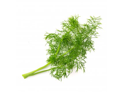 Fennel (Fenouil)