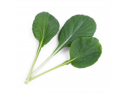 Tatsoi
