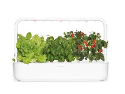 SG9S1UNI SG9S1US SG9 white lettuce basil tomato large transparent bg dark shadow