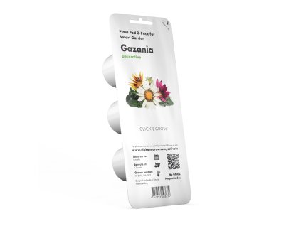 Gazania 3pack whitebg