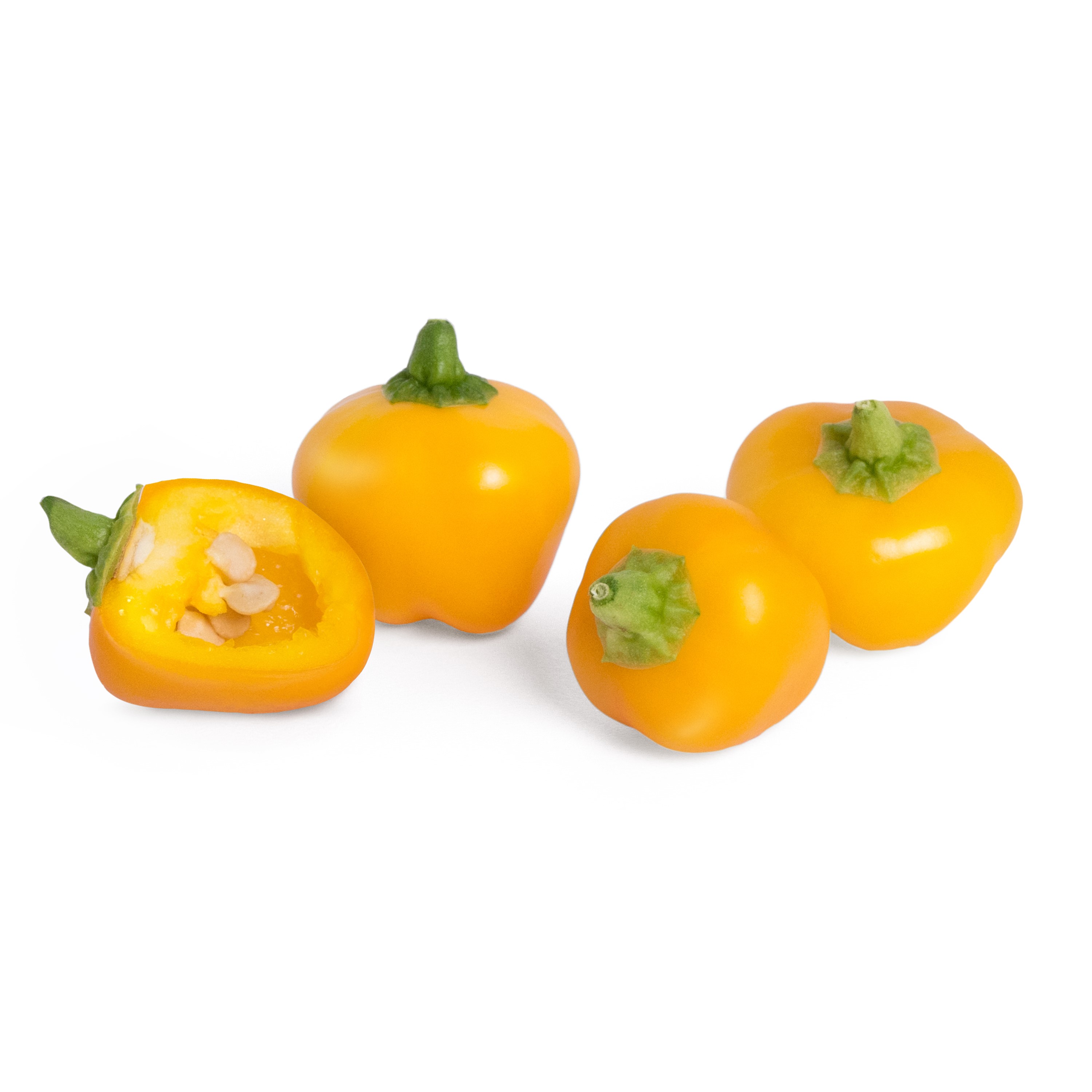 Véritable Lingot® Bio sadenice Žltej papriky