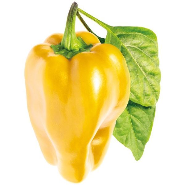 Click and Grow® sadenice Sladká žltá paprika