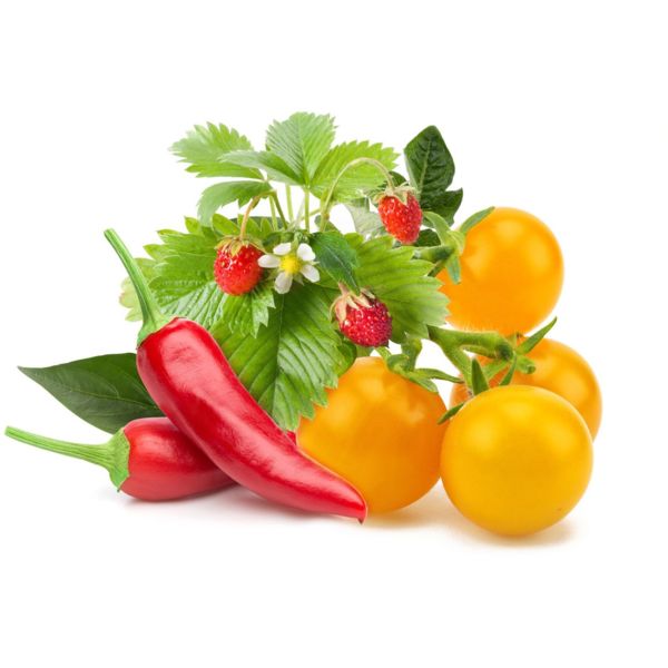 Click and Grow® sadenice Mix ovocia a zeleniny 9ks