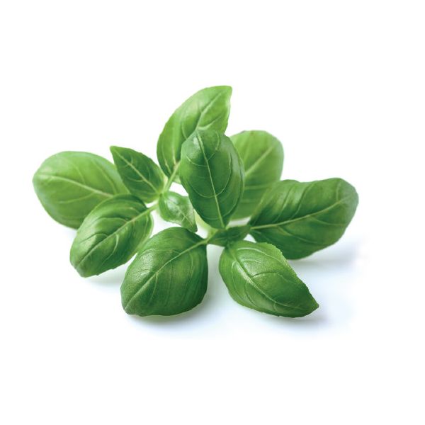 Click and Grow® sadenice Bazalka