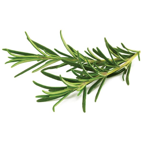 Click and Grow® sadenice Rozmarín 3ks